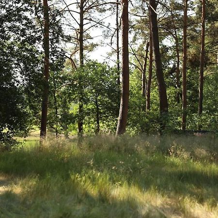 Belle Gite - Rust En Natuur Villa Geel Exterior foto