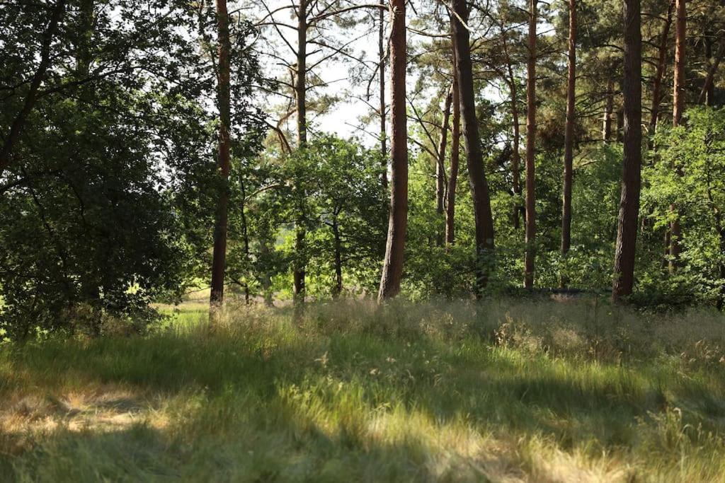 Belle Gite - Rust En Natuur Villa Geel Exterior foto