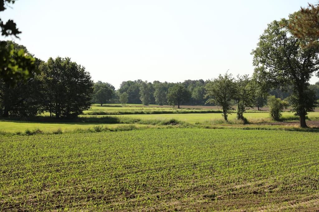 Belle Gite - Rust En Natuur Villa Geel Exterior foto