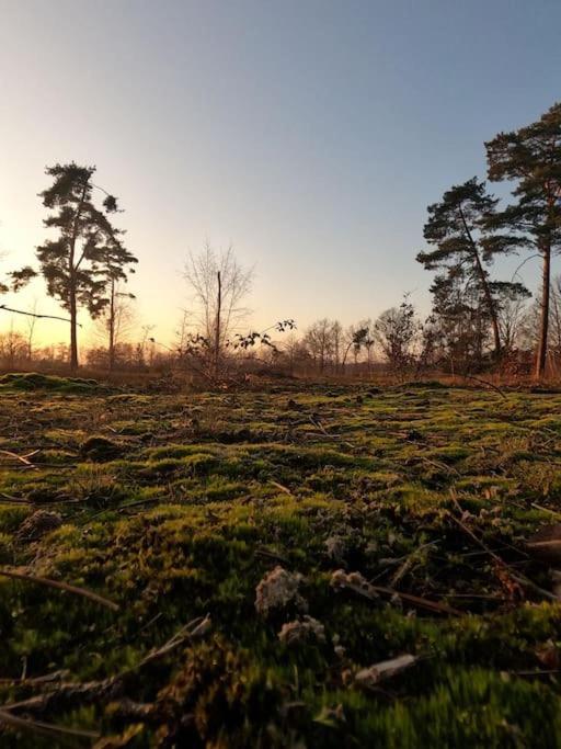 Belle Gite - Rust En Natuur Villa Geel Exterior foto