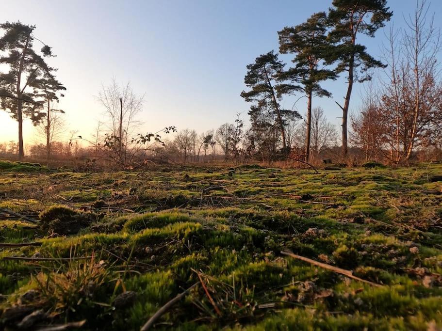 Belle Gite - Rust En Natuur Villa Geel Exterior foto